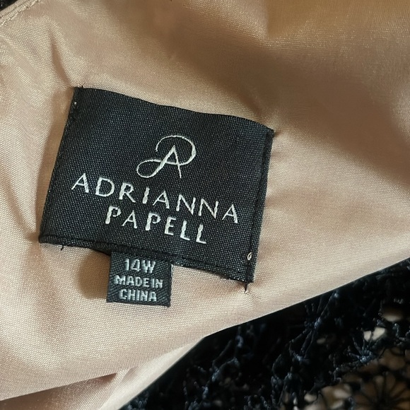 ADRIANNA PAPELL EMBROIDERED BLACK/TAN DRESS - Picture 8 of 8